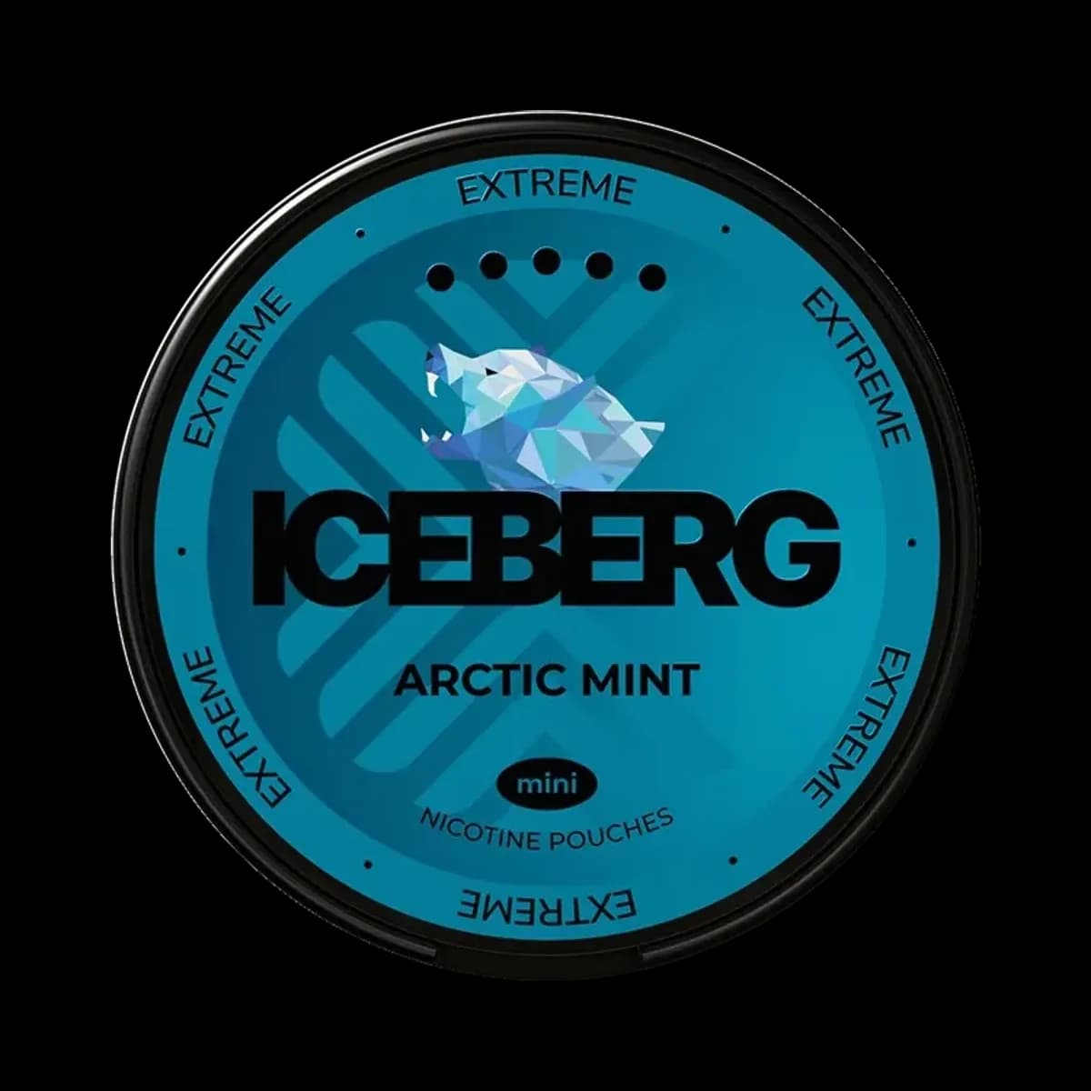 ICEBERG Mini Arctic Mint 20mg